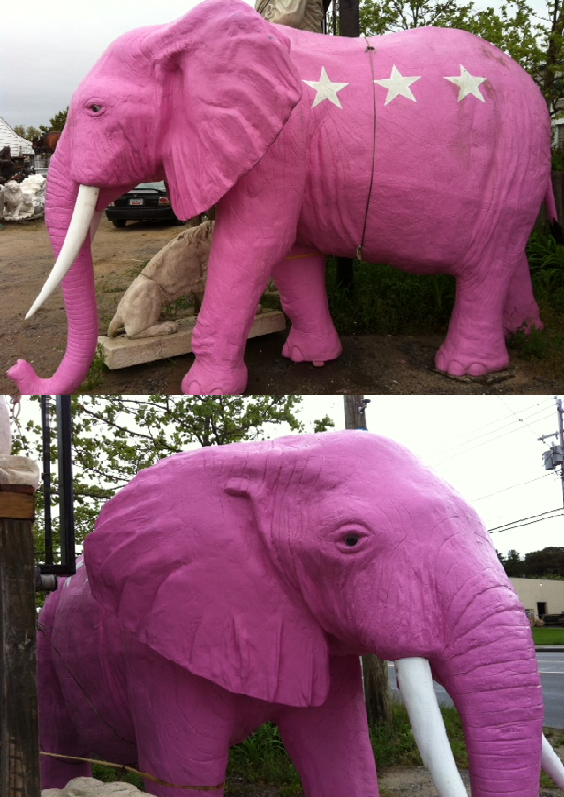 Elephant Pink - Click Image to Close